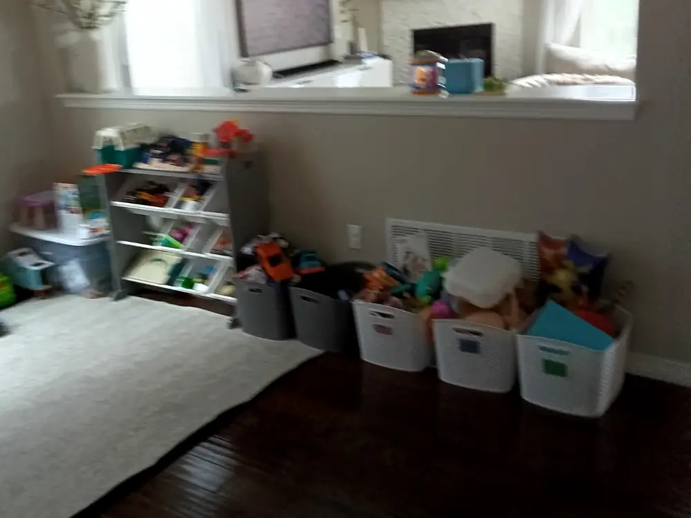 Playroom with toys sorted into labeled bins along the wall